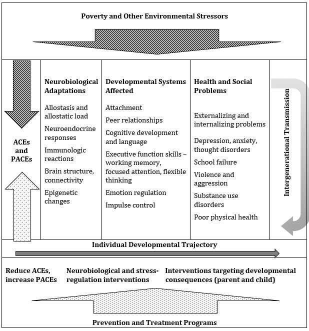 Flowchart showing how ACEs and PACEs (Adverse Childhood Experiences and Protective and Compensatory Experiences) affects children. This is a complex image. Supplementary information is below: Poverty and Other Environmental Stressors negatively affect neurobiological adaptations, developmental systems, and lead to health and social problems Prevention and Treatment Programs reduce ACEs, Increase PACEs, assist neurobiological and stress regulation interventions, and support interventions targeting developmental consequences for parent and child.
