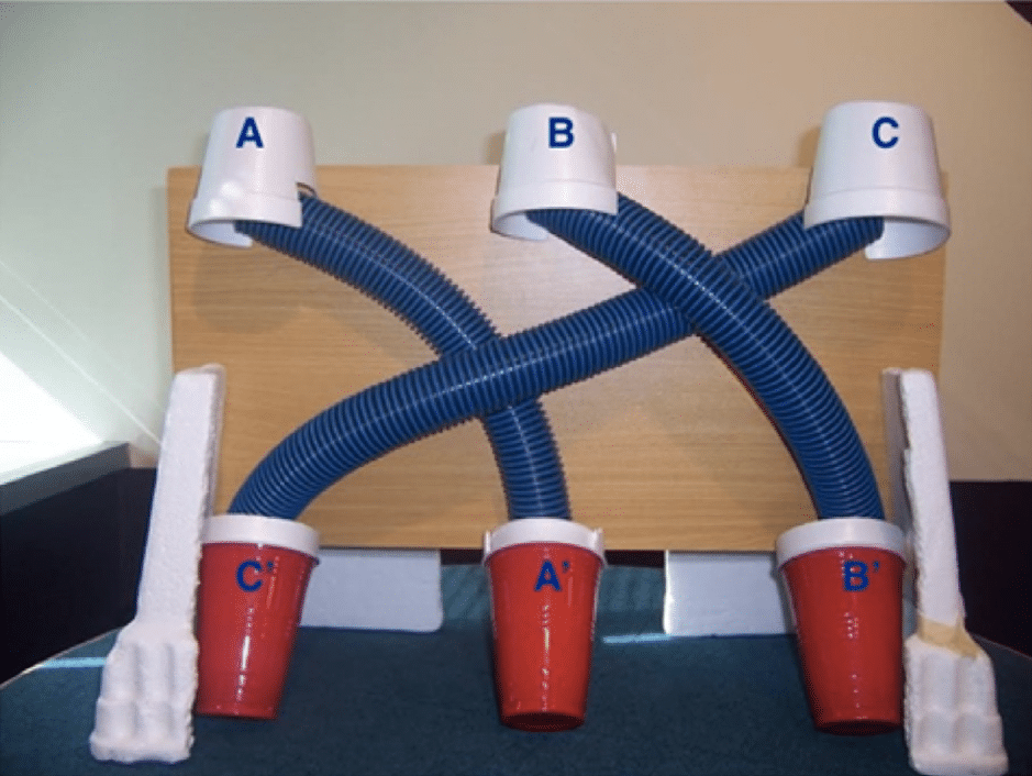 A gravity experiment with three cups labelled A, B, and C are connected to three buckets below them labelled with their matching letters.
